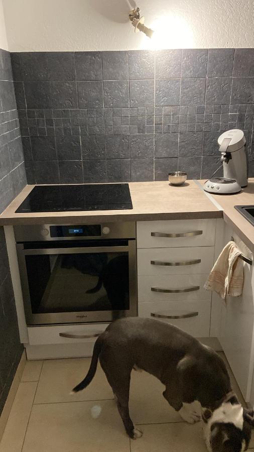 Appartement Cap D Agde Magnifique Vue Mer Ngoại thất bức ảnh